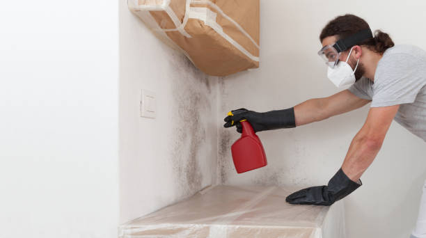 Professional Commercial Mold Remediation technician working in Winfield, IL