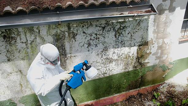 Top rated local Commercial Mold Remediation specialists in Winfield, IL
